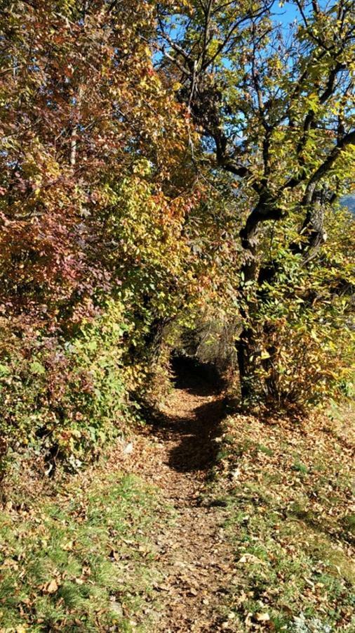 Finggeneislerhof Daire Villandro Dış mekan fotoğraf